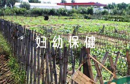 2023年度妇幼保健工作总结（乡镇妇保个人工作总结）