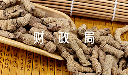 财政局局长述职报告范文（财政局副局长述职报告）