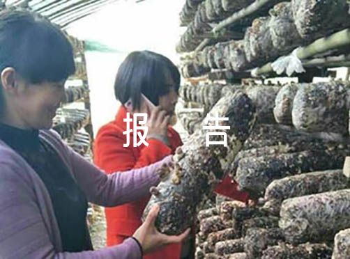 关于反假货币专项整治的报告【三篇】（反假货币工作信息报告）