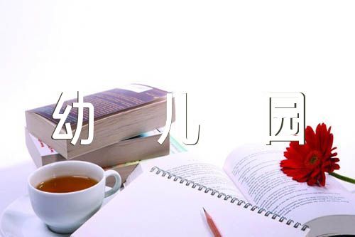 幼儿园财务年度个人总结1000字范文（幼儿园财务报告怎么写）