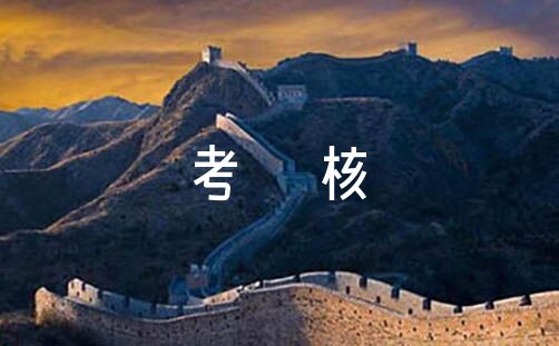 领导干部考核工作总结范文（干部考核总结材料）