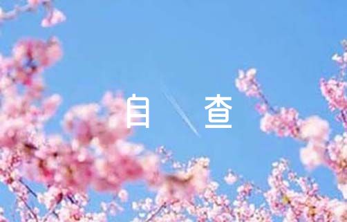 语文员教育培训工作情况自查报告范文十篇（学生语文员个人自检自查报告）