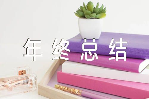 统计工作年终总结个人精选三篇（统计员年终总结范文）