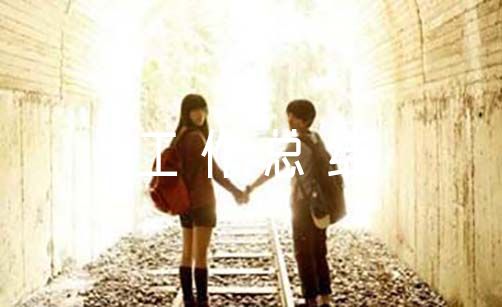 退役军人服务站全年工作总结及工作【六篇】