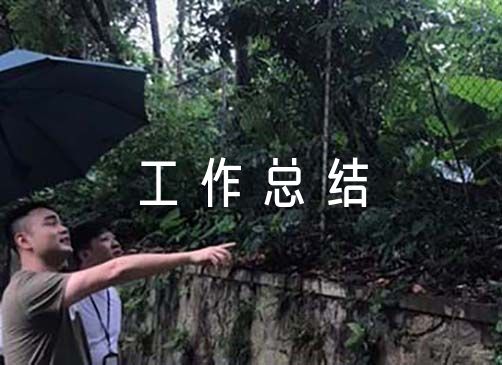 关于2023年宣传工作总结【十一篇】（工作总结及工作计划）