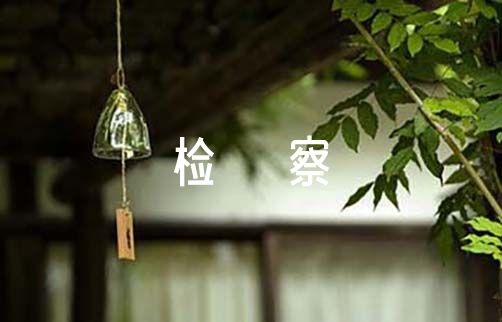 检察理论研究工作总结范文（检察院思想政治工作总结）