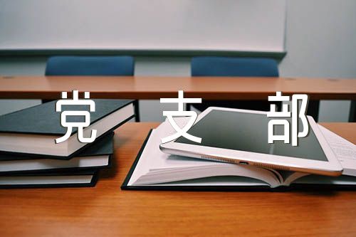 村语文支部委员述职述廉报告范文三篇（语文支部青年委员述职）