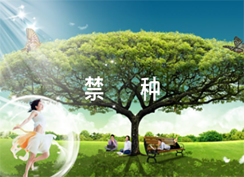 十里镇禁种铲毒踏查工作总结范文（打击黄赌毒工作总结）