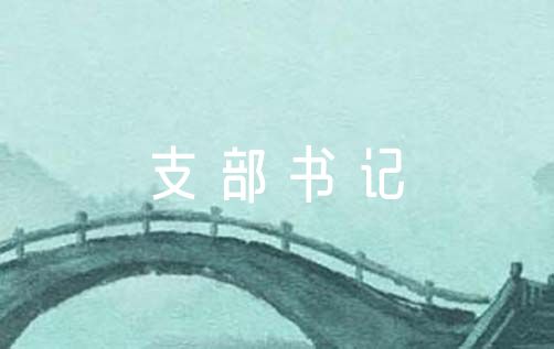 支部书记组织生活会总结七篇