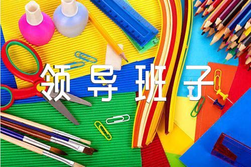 卫生院领导班子述职述廉报告【4篇】（领导班子述职述责述廉报告）