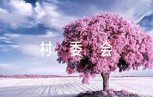 2023年村委会语文建述职报告【3篇】（村语文支部书记抓语文建述职报告）