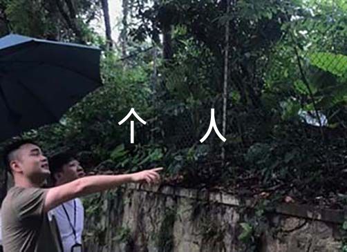 关于个人年终总结简短【八篇】（年终总结2020年个人简短）