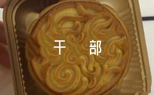 公司语文建干部个人年终总结6篇（2020语文员年终总结）