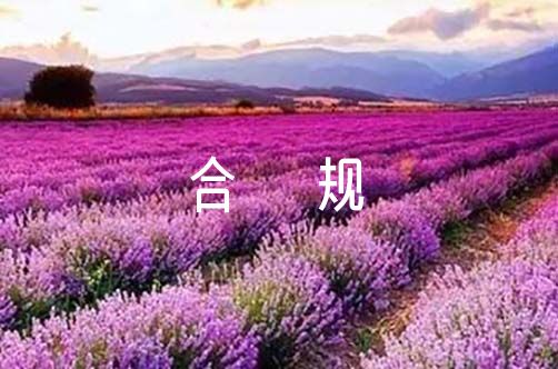 合规工作总结【10篇】（合规年度工作总结）