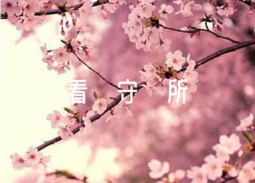 2023年度看守所个人工作总结【6篇】（工作总结和工作计划范文）