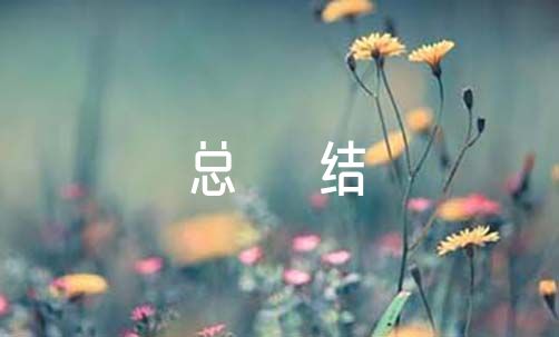 语文组织生活会总结报道（开展语文组织生活简报）