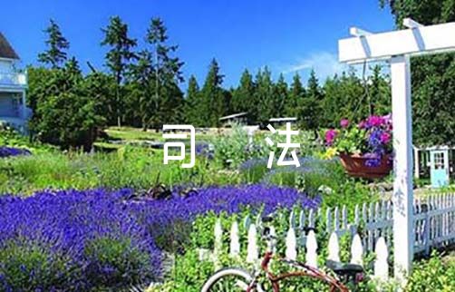 深化司法体制改革工作情况的调研报告范文（深化司法体制综合配套改革）