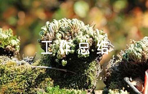 红十字会季度志愿服务工作总结范文（社区红十字会工作总结）